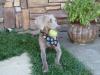 Kori holding ball